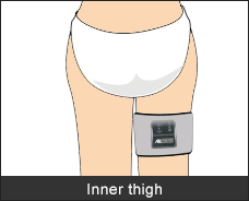 Inner thigh
